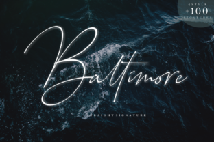 Baltimore Family: A Modern Typeface for Web Design