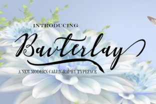 Bavterlay: A Modern Script Typeface for Editorial Design