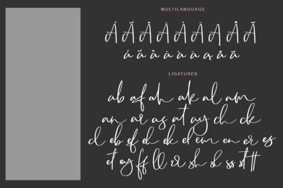 Camsay: A Fresh Handwritten Font for Editorial Design