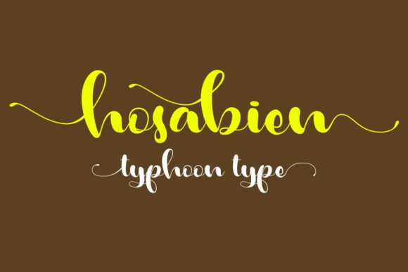 Hosabien: A Chic Script Font for Handmade Brands