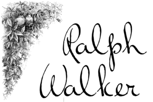 Ralph Walker: The Handwritten Typeface That Stops the Scroll