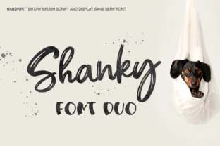 Shanky Font Review: A Versatile Typeface for Modern Branding