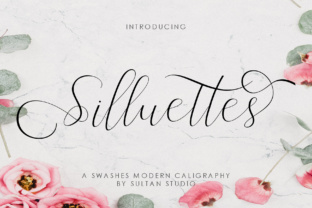 Silluettes: A Modern Script Typeface for Web Design