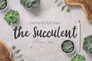 The Succulent Trio: A Stylish Script Font for Makers